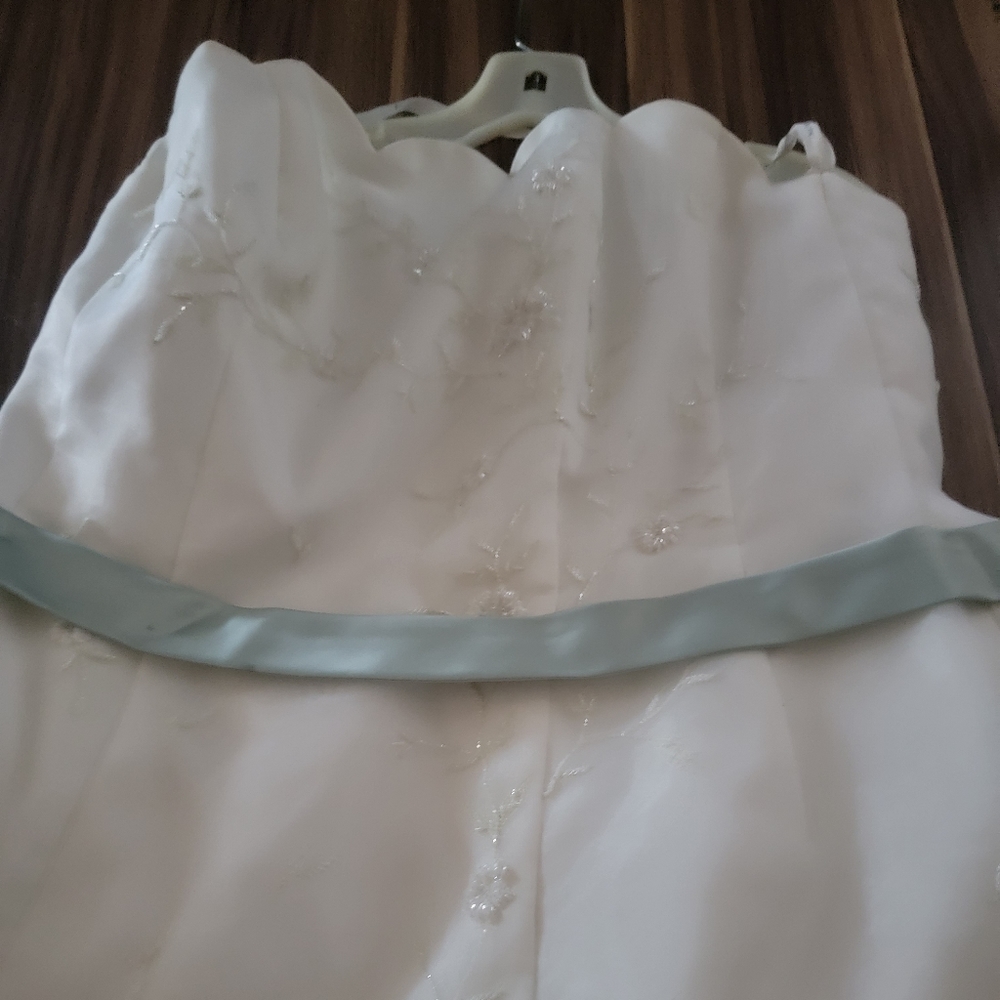 David's Bridal wedding dress 16W Monique Luo used once